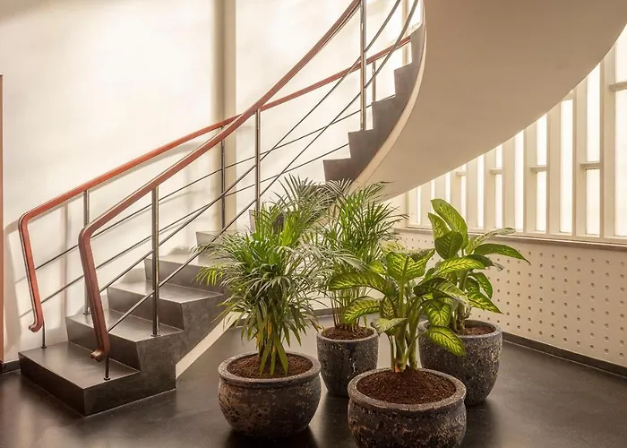 בית הארחה Ceuta Terrace פורטו