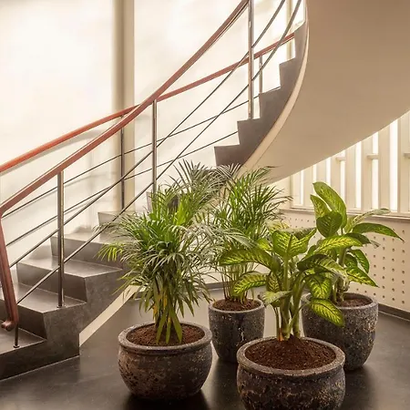 招待所 Ceuta Terrace 波尔图